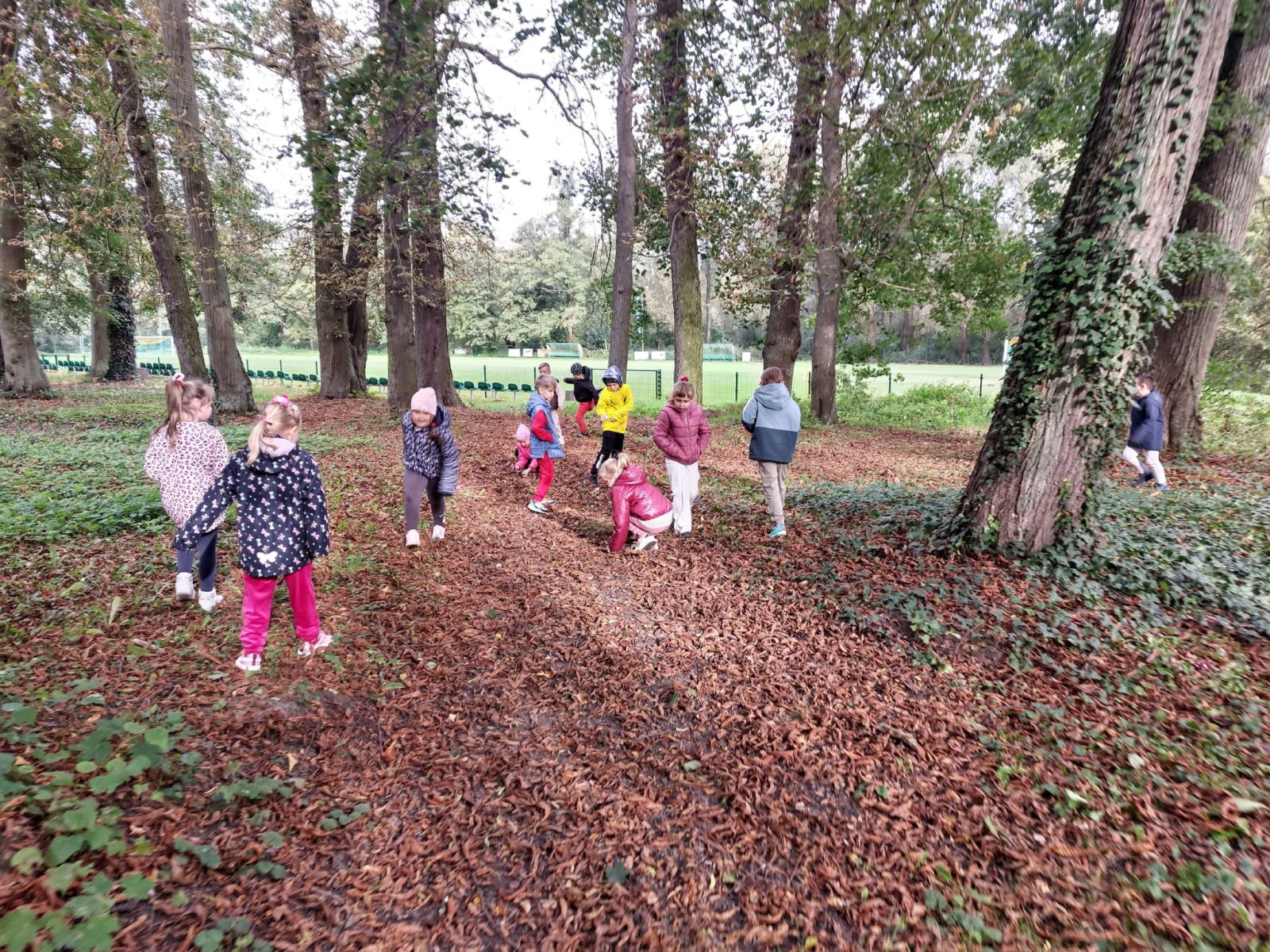 Zdjęcie: Powitanie jesieni