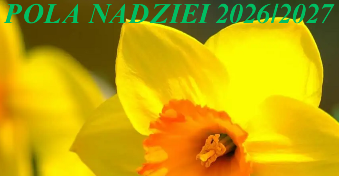 Zdjęcie: Pola nadziei