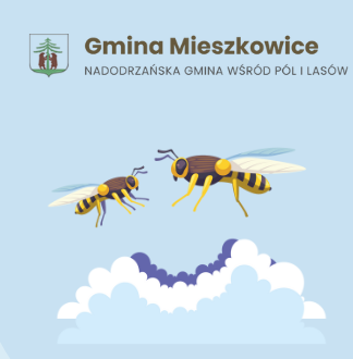 Zdjęcie: Warsztaty ekologiczne