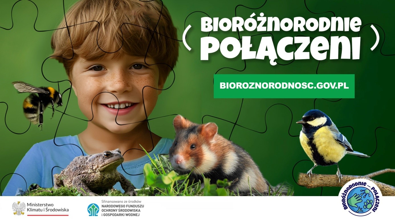 Zdjęcie: Ekologia na wakacje